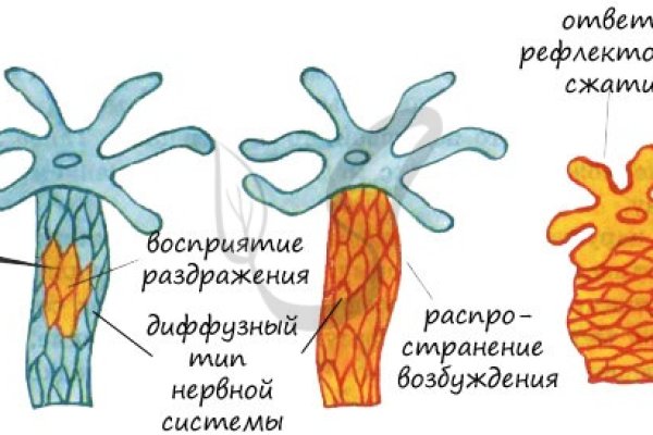 Сайт мега тор браузер